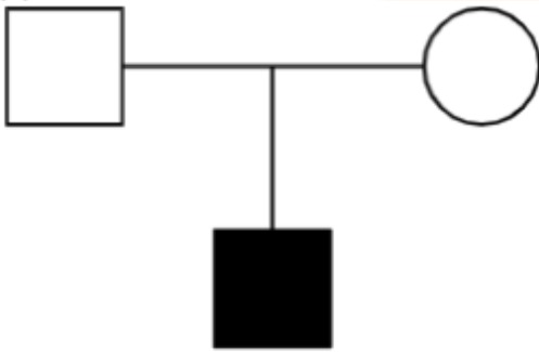 Option C