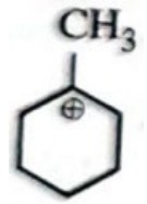 Option C
