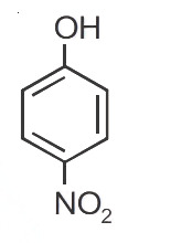Option C