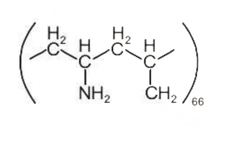 Option B
