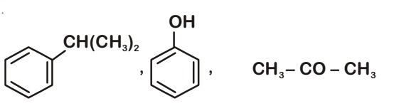Option D