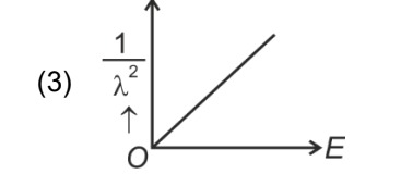 Option C
