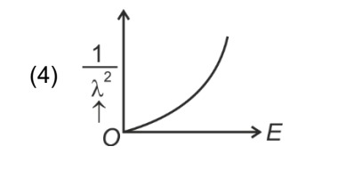 Option D