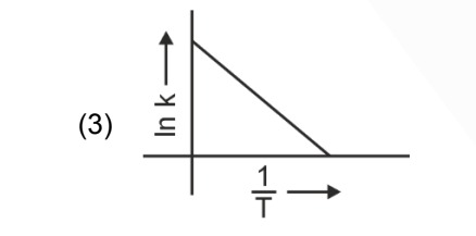 Option C