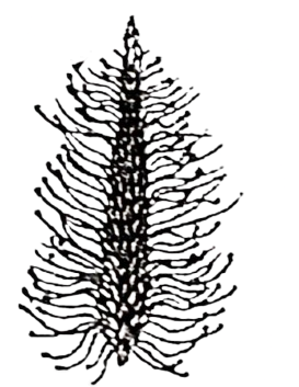 Question illustration