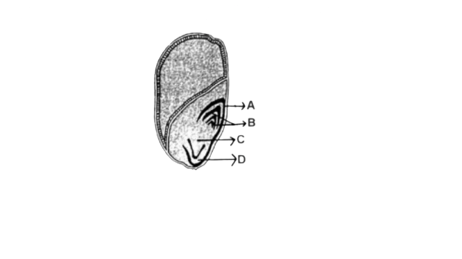 Question illustration