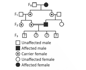 Question illustration