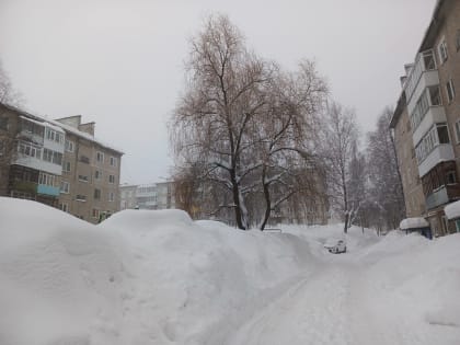 Январь 2025 года в Пермском крае занял рекордное третье место по теплу и стал лидером по числу осадков