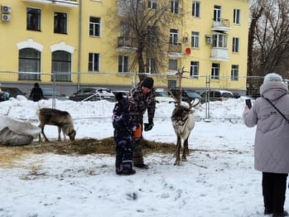 Вот и все, дождались: СФР сделал долгожданное заявление о 13-й пенсии для абсолютно всех пенсионеров в январе