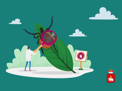 В Прикамье от клещей с начала сезона пострадали 23,8 тысячи человек