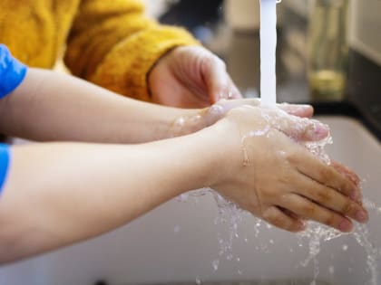 Новые инициативы по охране окружающей среды в Москве