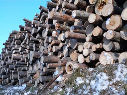 Новое китайское предприятие откроется в Лысьве