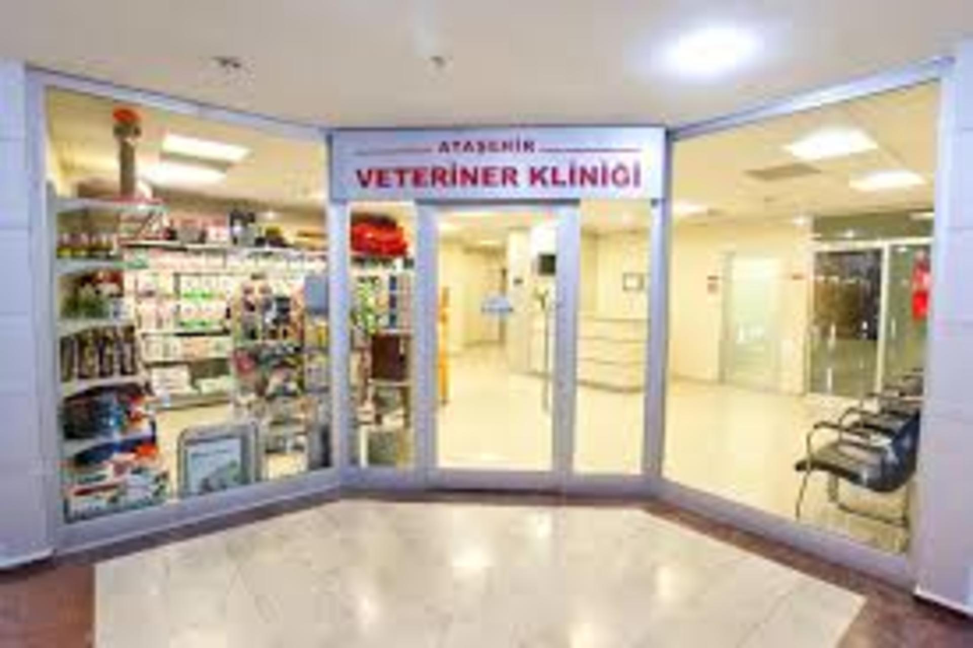 Veteriner Atasehir