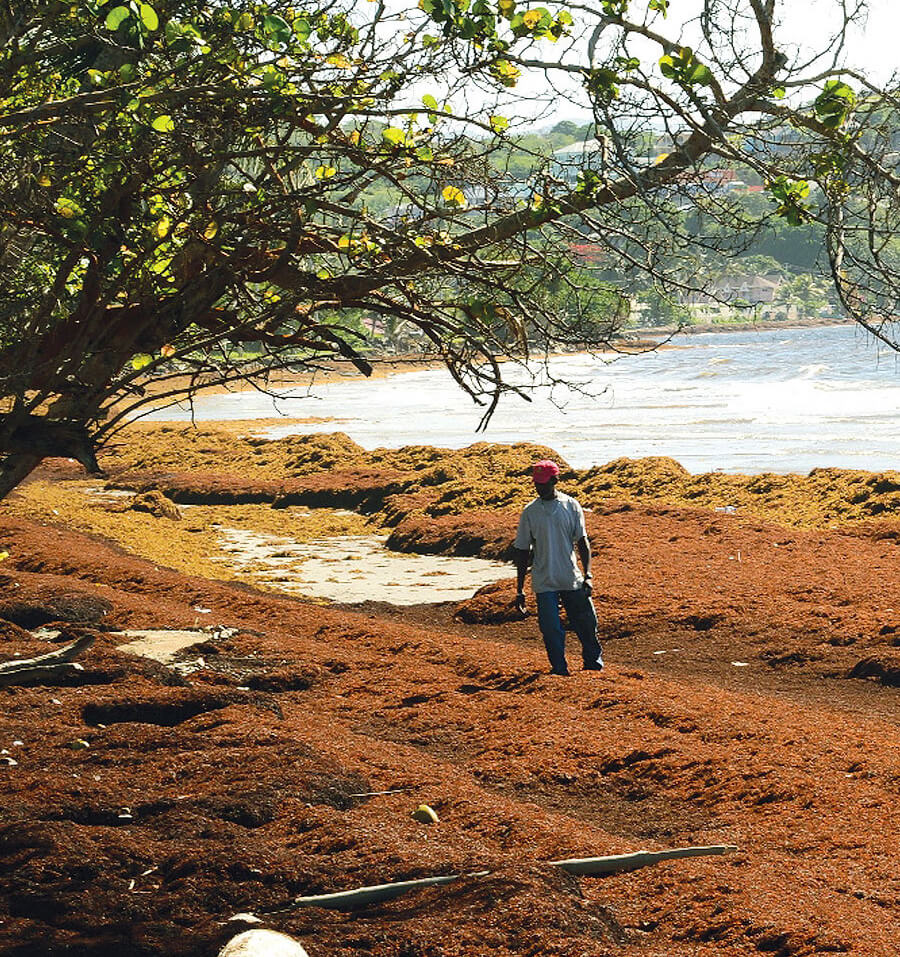 Man standing on a beach.