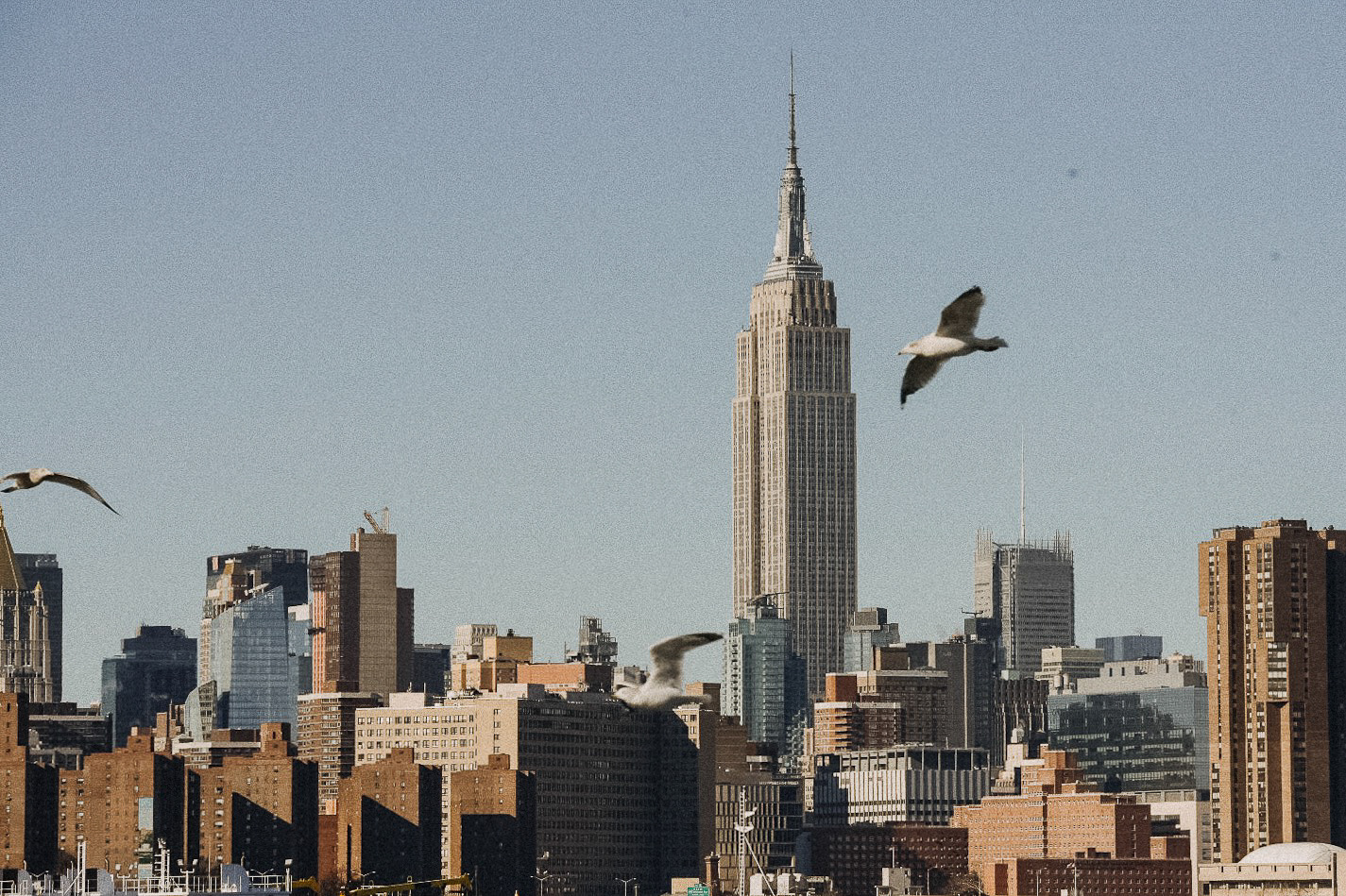 big-apple-2-yusong-3_tiwxod