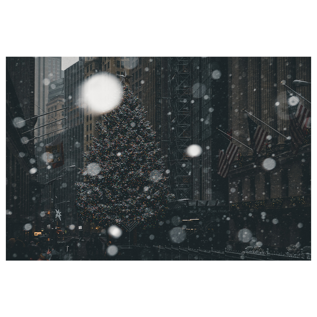 the_archive-ys-36_o39tgy