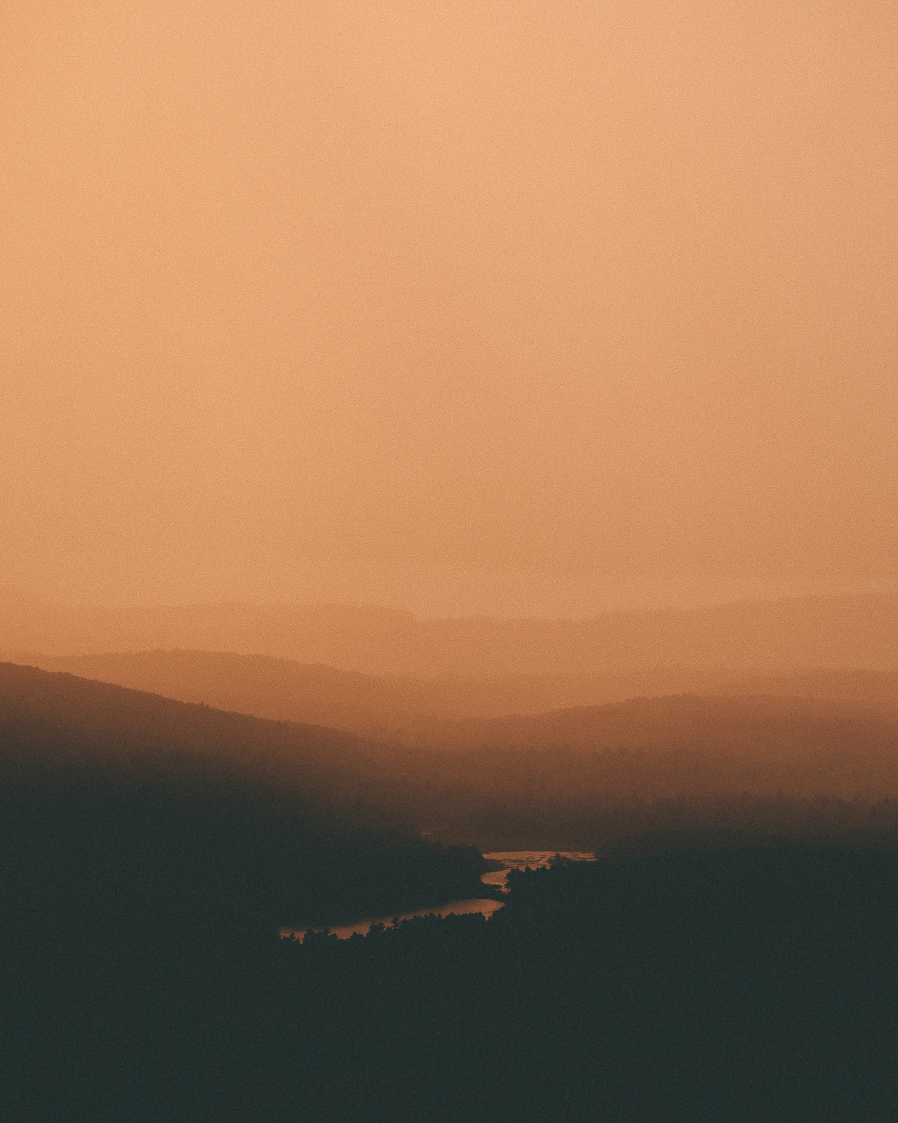 the_archive-ys-17_f4oaba