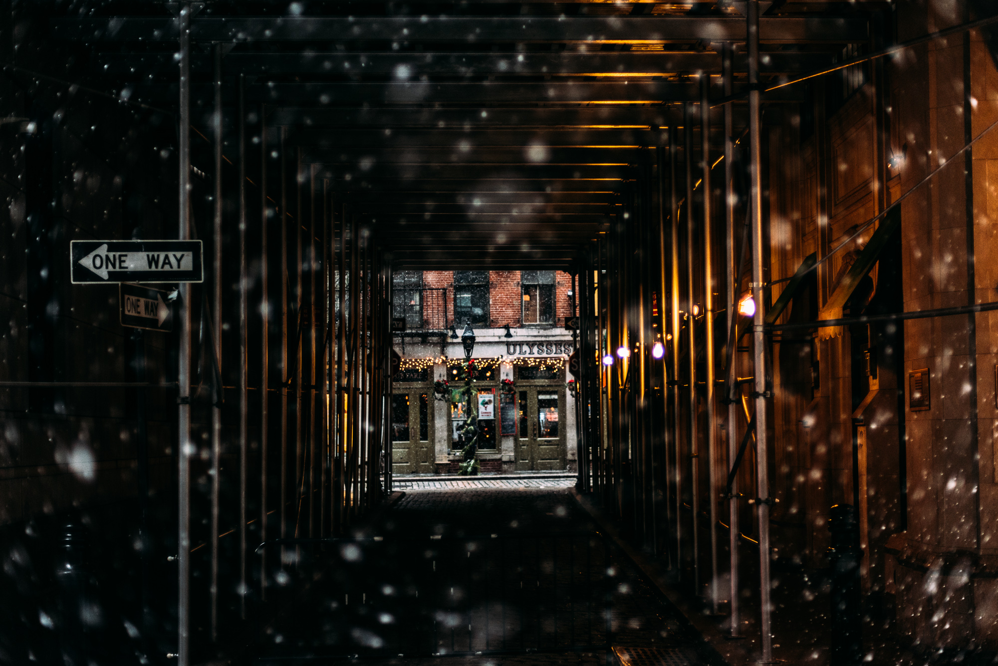 the_archive-ys-41_kqwec8