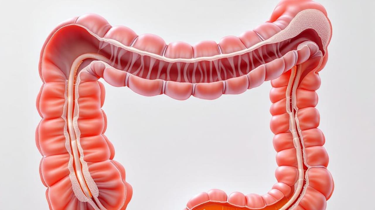 The Silent Deficiencies Draining Your Energy — technical diagram