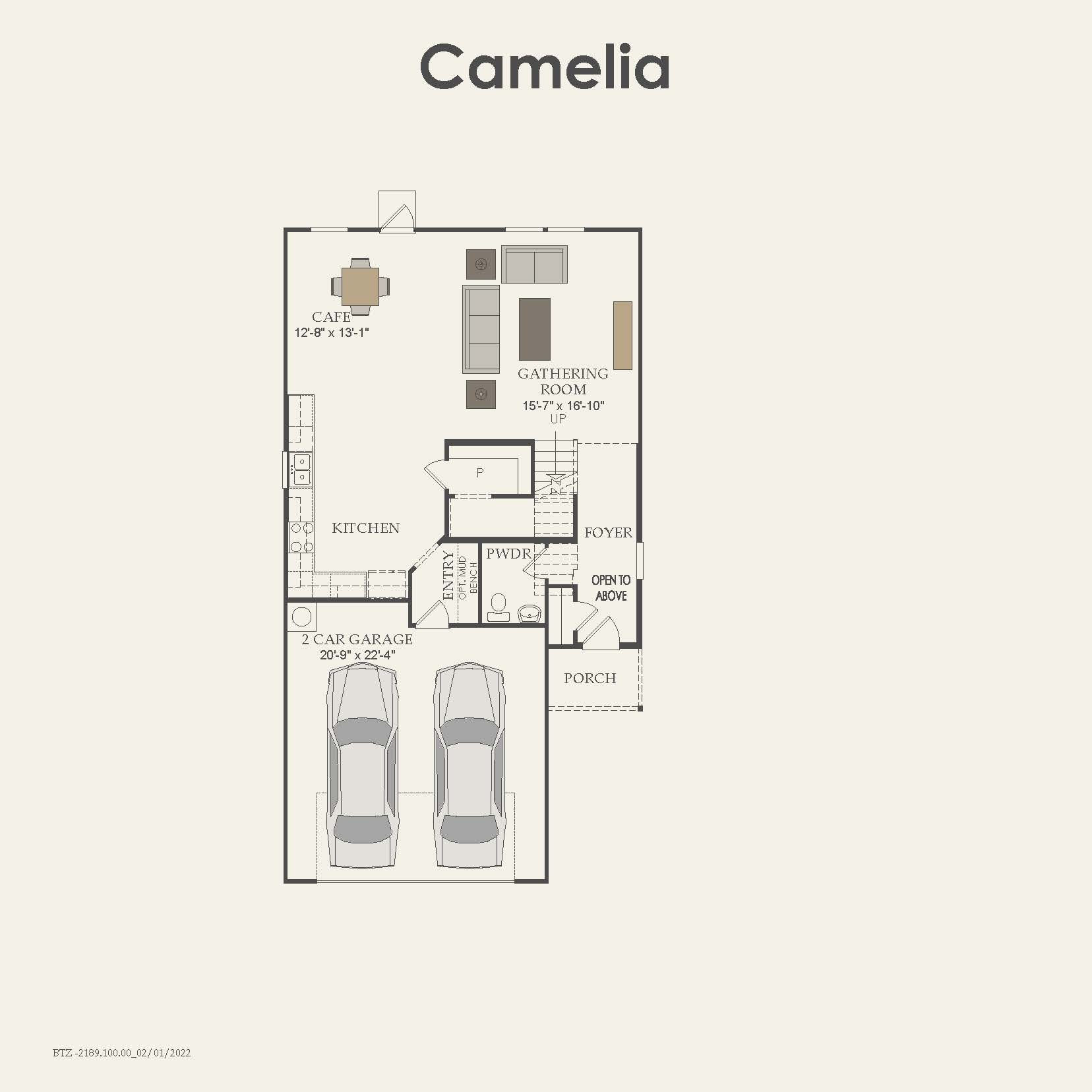 Camelia