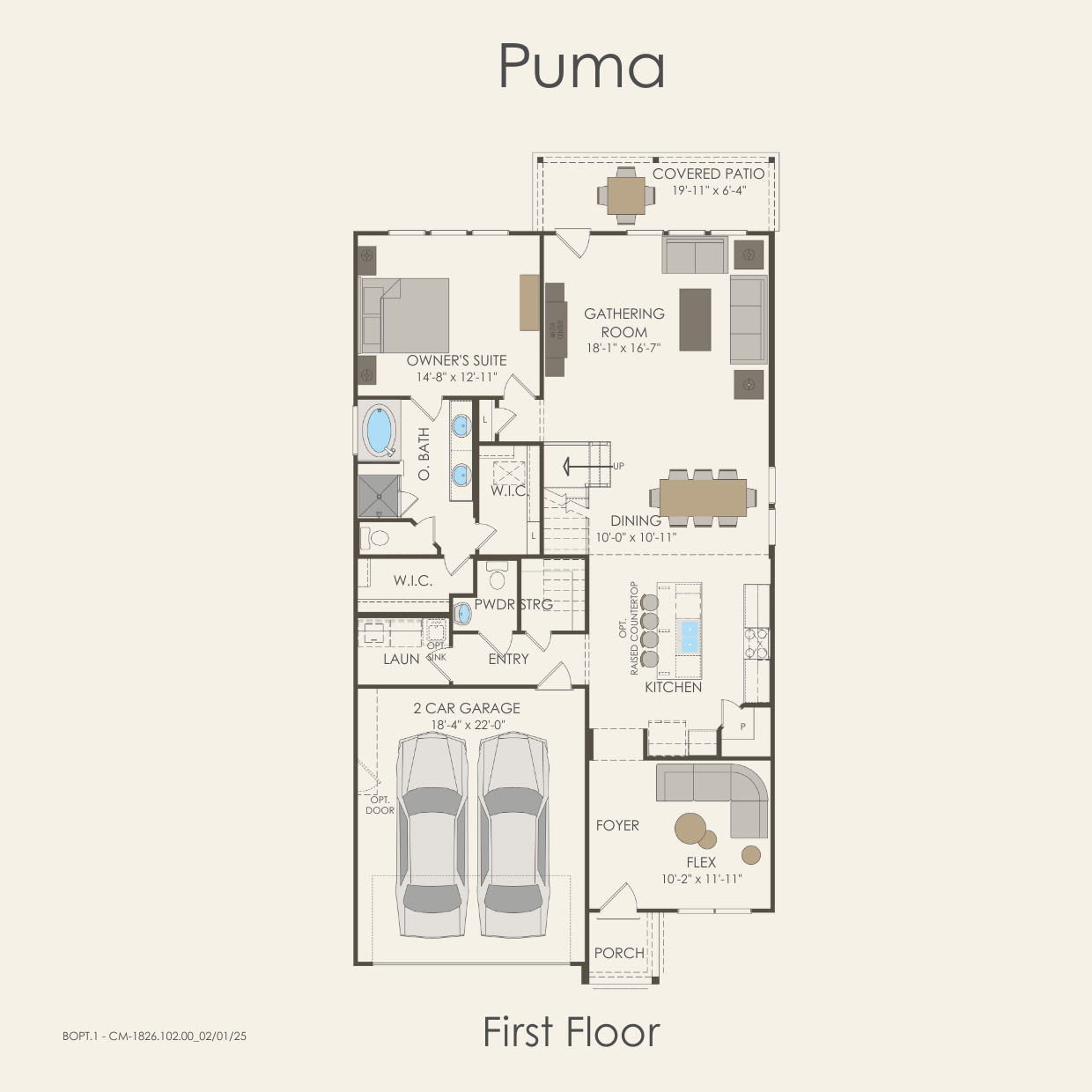 Puma