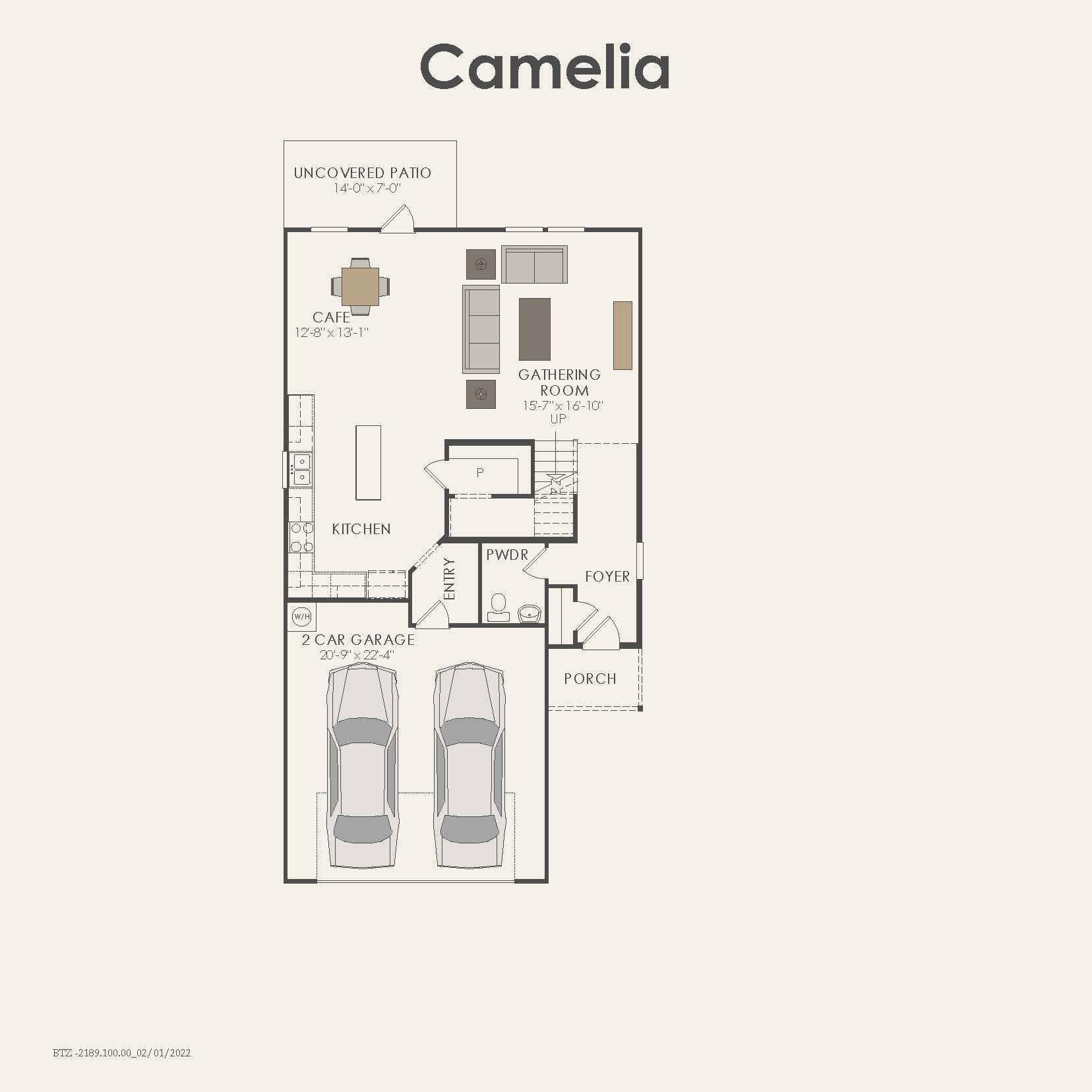 Camelia