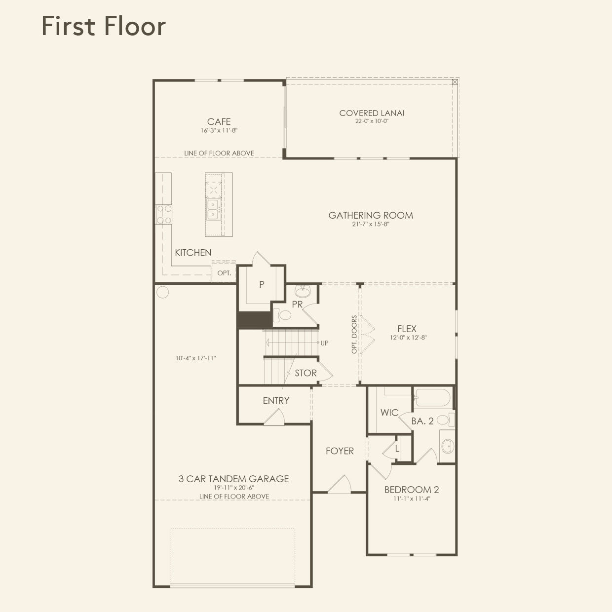First Floor