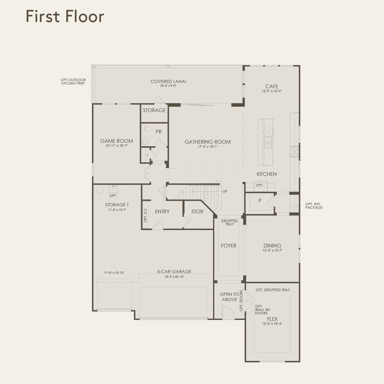 First Floor