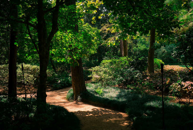 Fun Things to Do in Houston for Adults | Del Webb