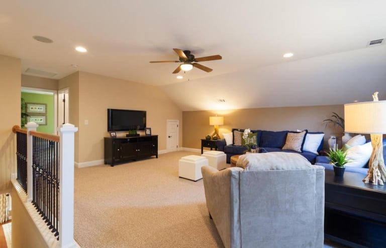 Model Ceiling Fan