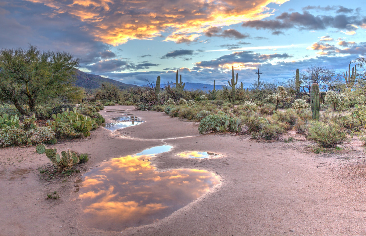 Pulte Homes in Tucson