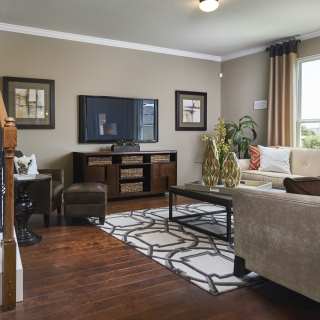 Bright Living Spaces