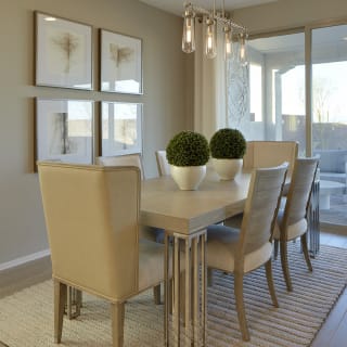 Cafe Area for Dining