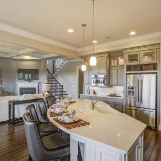 Open Gourmet Kitchen