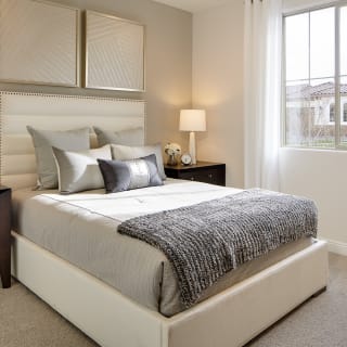 Secondary Bedroom for Family and Friends