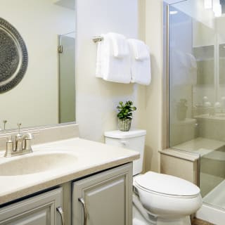 Secondary bathroom for guests