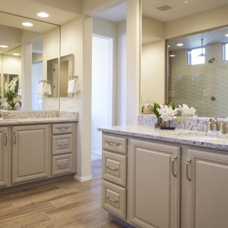 Luxurious owner's bath with a walk-in shower and two sinks