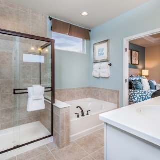 Owner's Bath Option 2