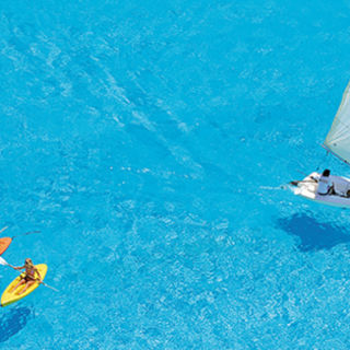 Essence - Kindness and compassion give rise to self-confidence, which in turn empowers us to be honest, truthful and tra