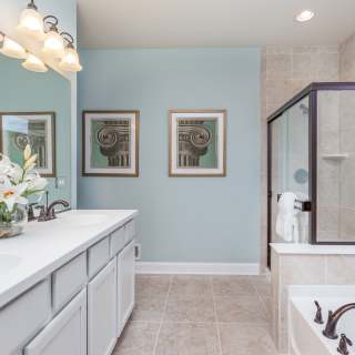 Owner's Bath Option 2