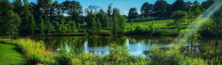 Free Things to Do in Raleigh, NC | Centex