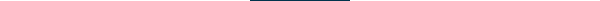 Small Navy Divider Line