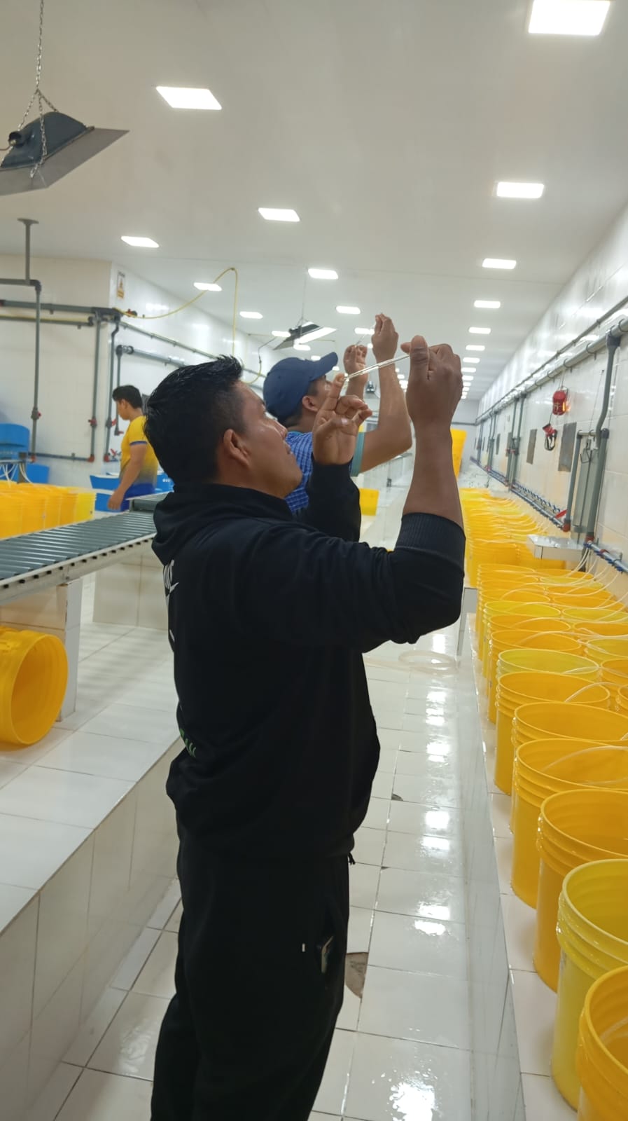 Procesos GeomarLab 1