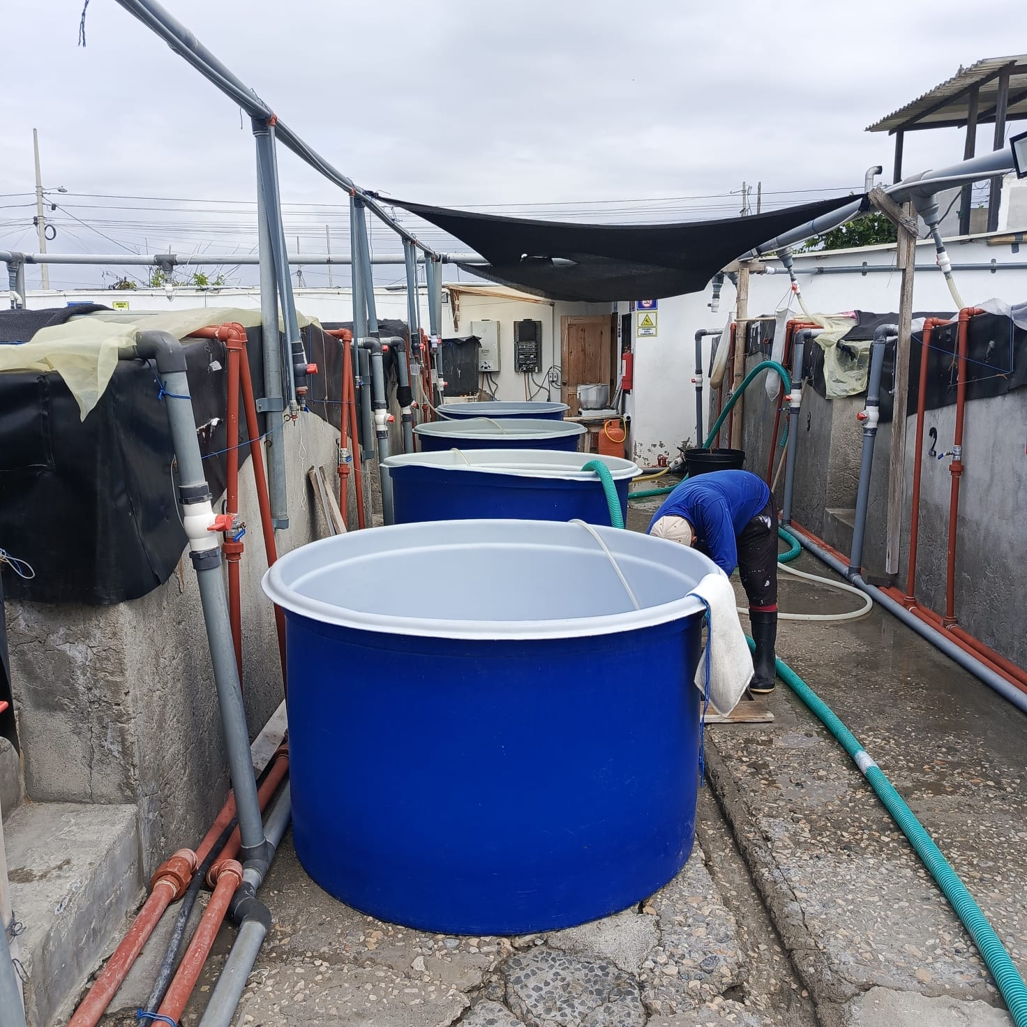 Sistema de monitoreo