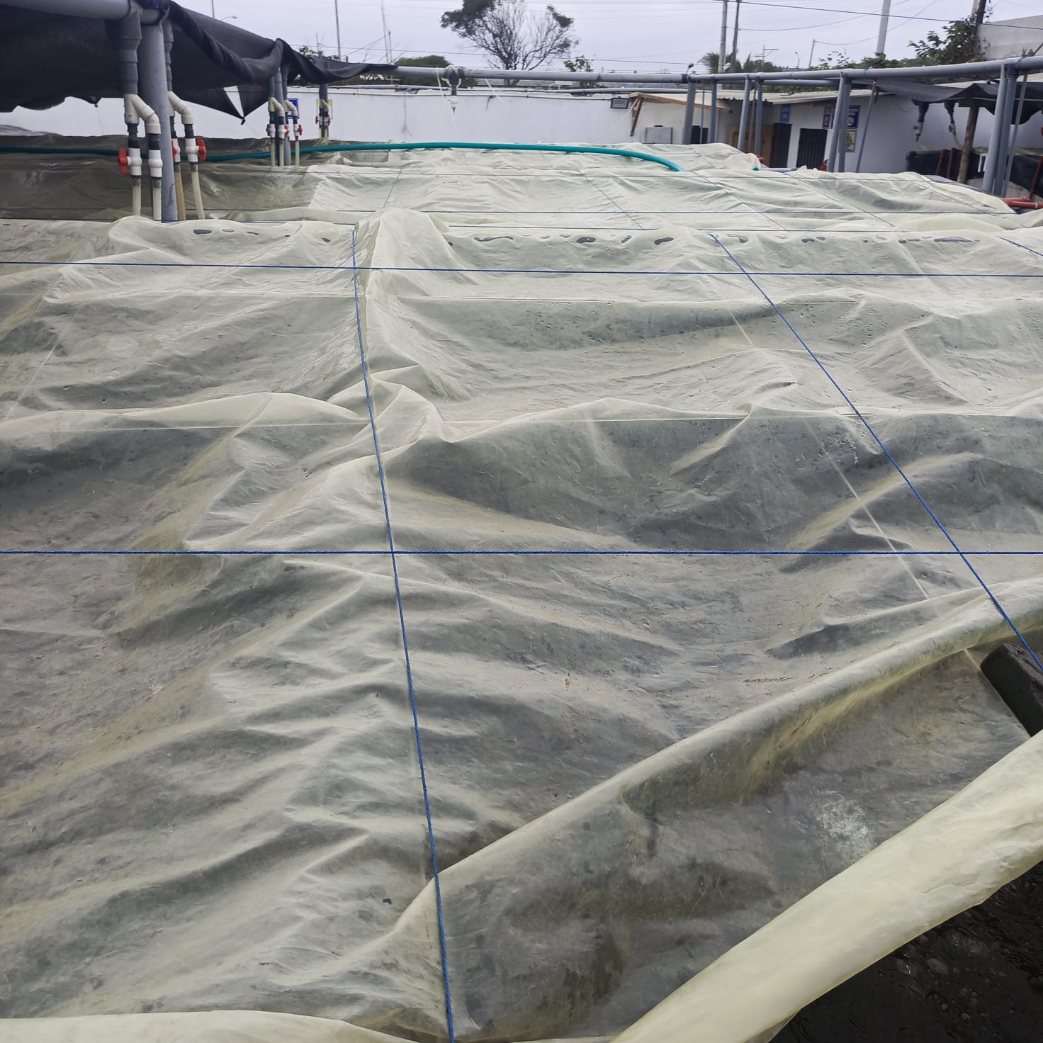 Instalaciones GeomarLab