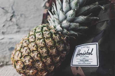 ananas_ywwfug ananas