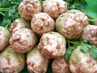 celery
