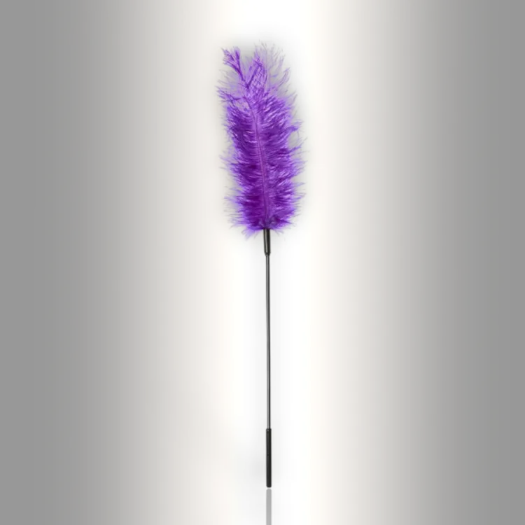 PlayLoveToys - products/ostrich-tickler-purple