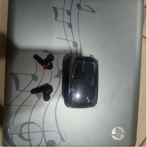 Customer review photo 1