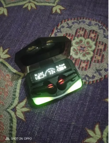 Customer review photo 2